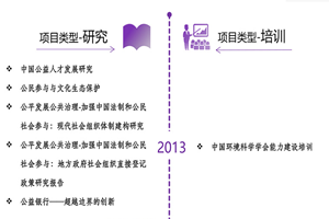 欧洲插逼网站非评估类项目发展历程